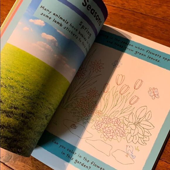 First Words Sticker Activity Book New - Picture 8 of 12